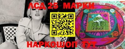 прущие грибы Чебоксары