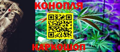 прущие грибы Чебоксары