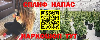 прущие грибы Чебоксары