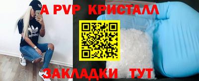 прущие грибы Чебоксары
