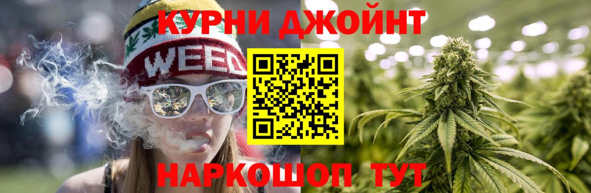 Бошки марихуана сатива  Канабис MAZAR  Будённовск  Вход с VPN  Каннабис планчик  Конопля сатива 